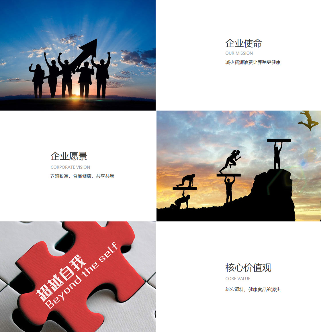 天下彩天空彩彩票资料大全(图1)